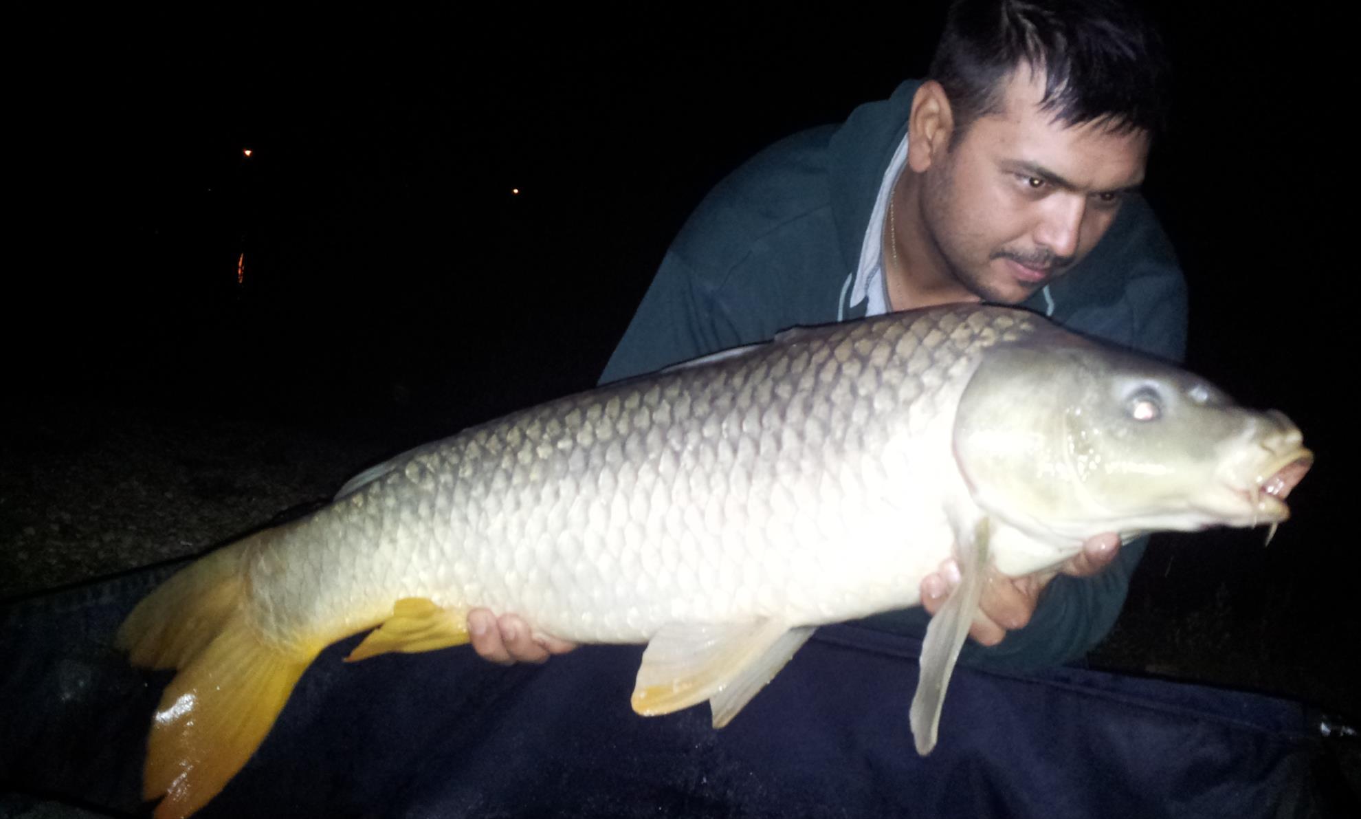 Hermes Peris 5 - 6 septembrie 2014